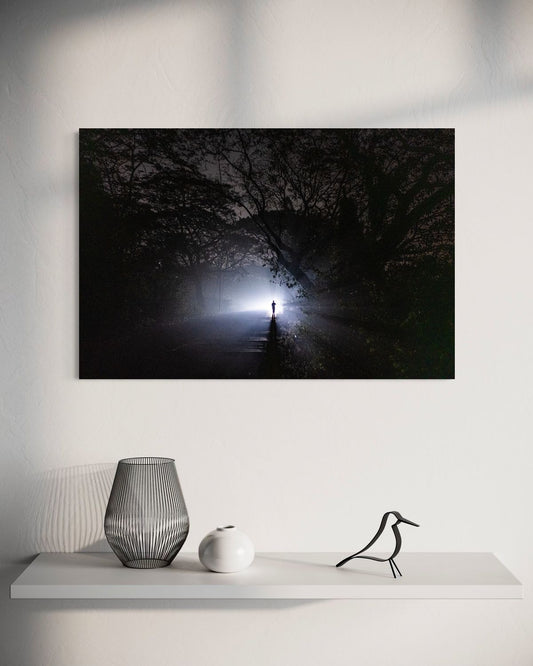 Close Encounters of the Third Kind by Suresh Naganathan: unframed print, 60 x 90 cm, on a wall