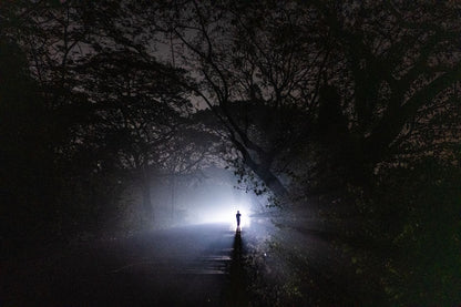 Close Encounters of the Third Kind by Suresh Naganathan, fine art photography print