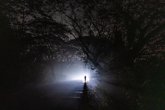 Close Encounters of the Third Kind by Suresh Naganathan, fine art photography print