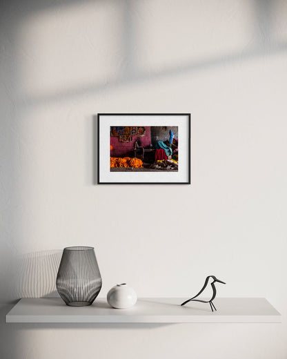 Flowers and Colors by Suresh Naganathan: black frame with white mat, 20 x 30 cm, on a wall