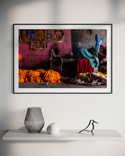 Flowers and Colors by Suresh Naganathan: black frame with white mat, 60 x 90 cm, on a wall