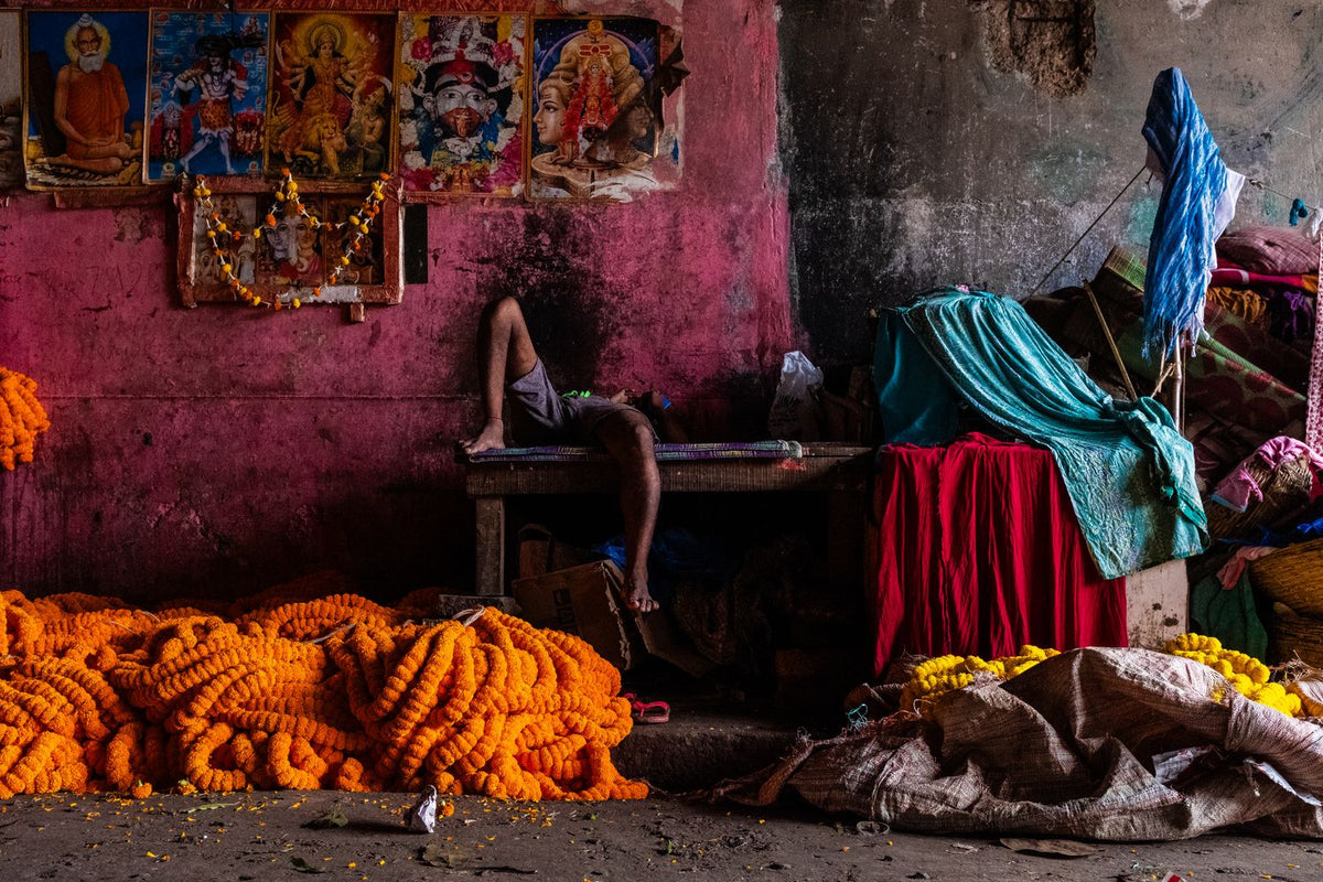 Flowers and Colors by Suresh Naganathan, fine art photography print