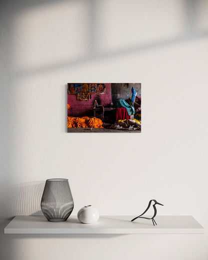 Flowers and Colors by Suresh Naganathan: unframed print, 30 x 45 cm, on a wall