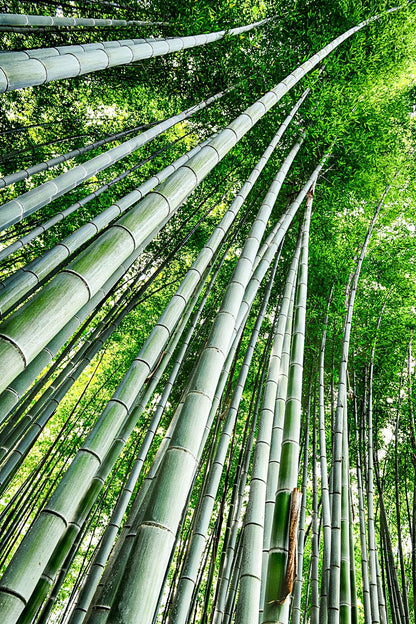 Green geometry